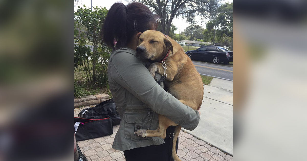 Perrita asustada abraza rescatistas