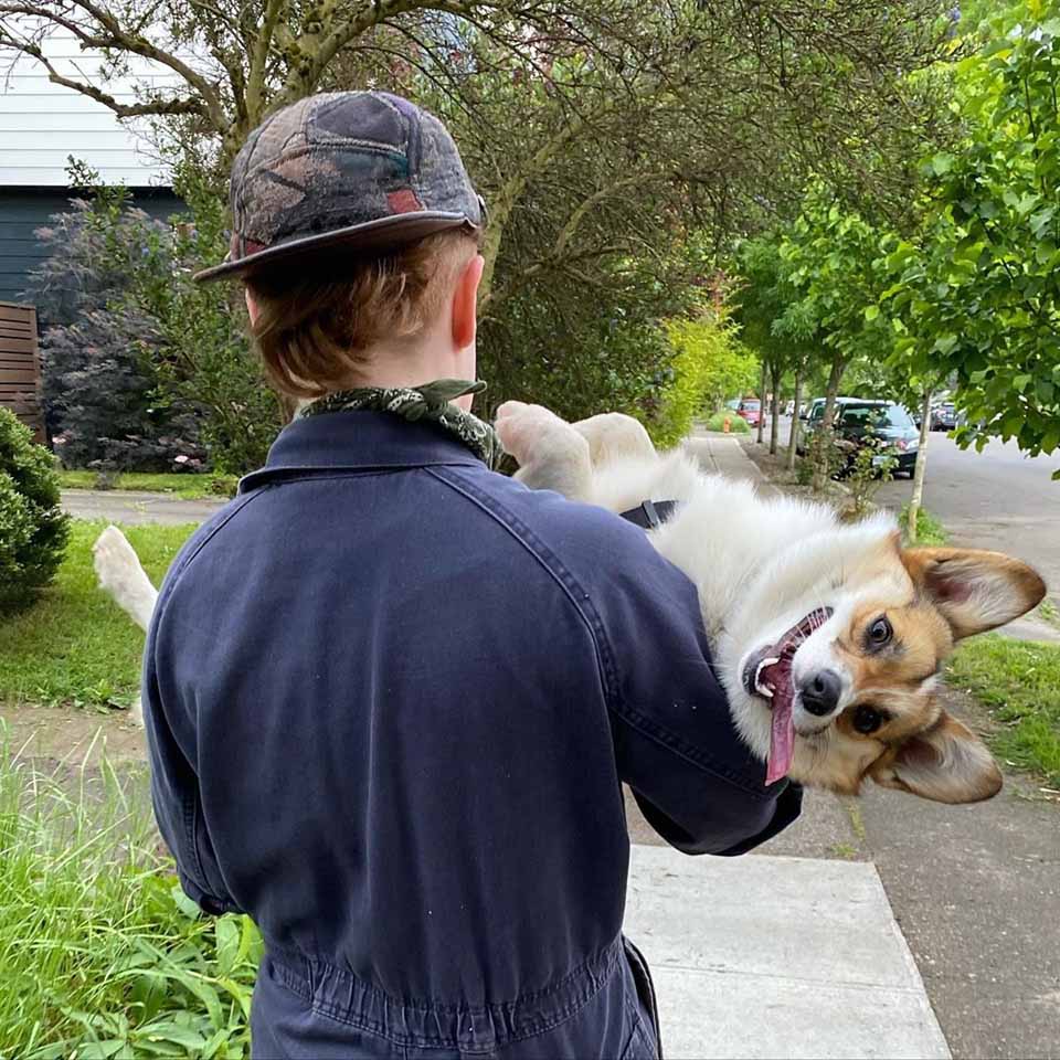 Perrita recibe cariño
