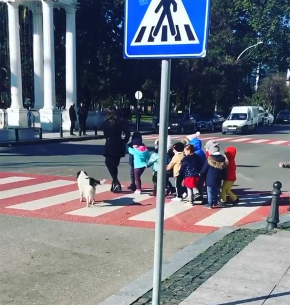 Perro ayuda a niños