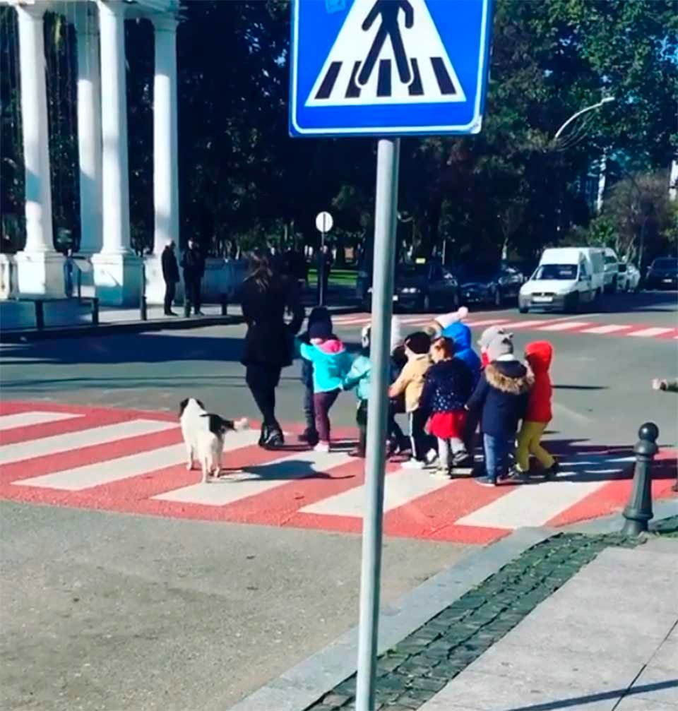 Perro ayuda a niños