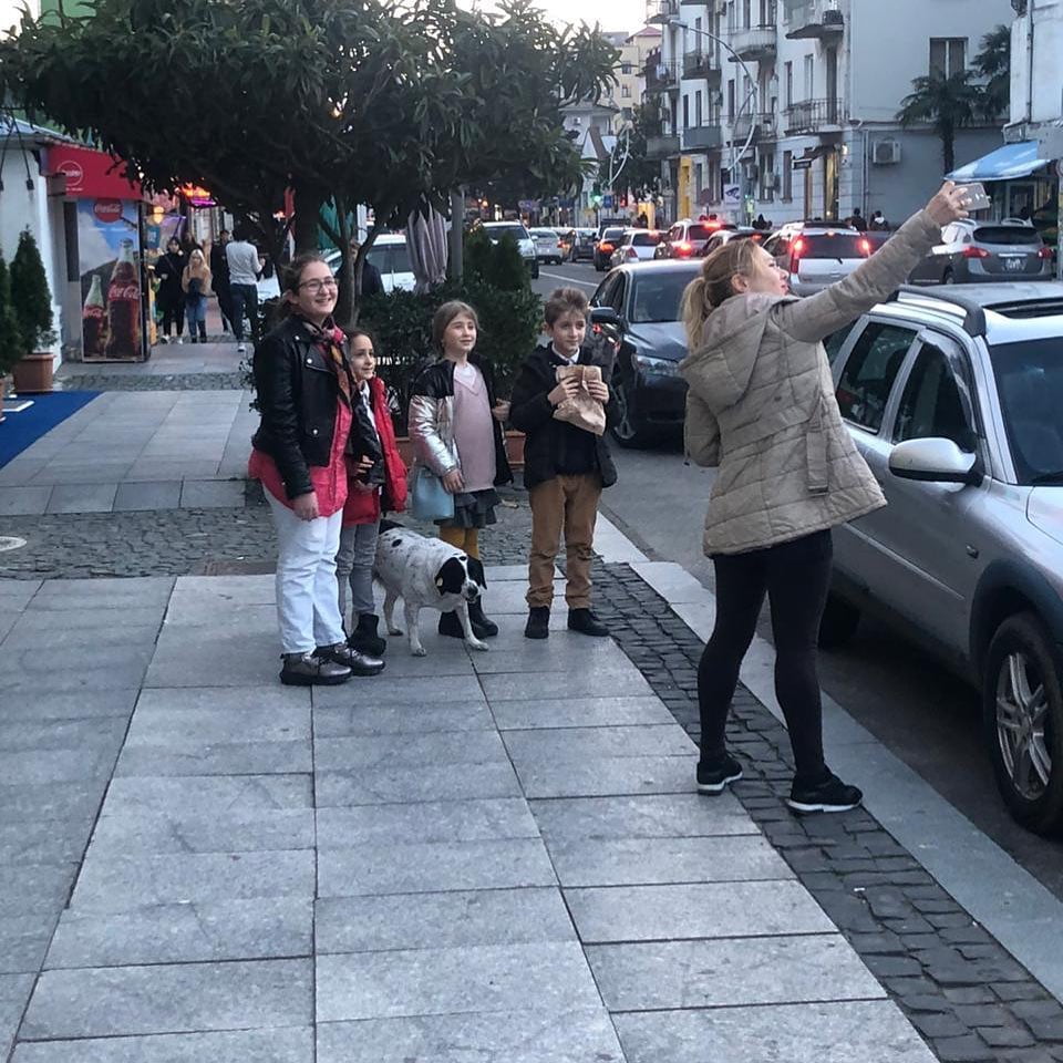 Perro detiene el tráfico 