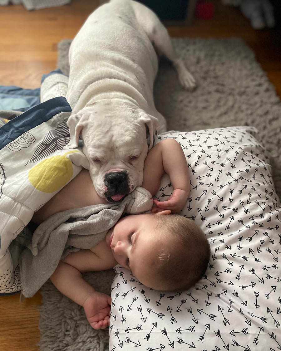 Cámara capta niño Brutus