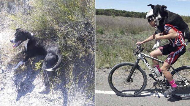 Ciclista se detiene para ayudar a un perro