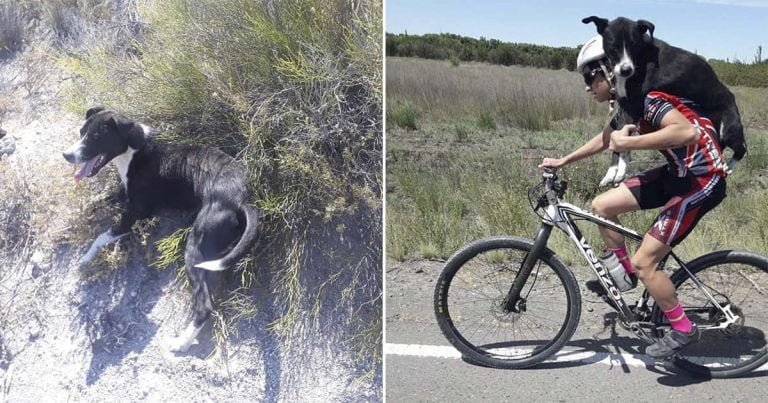 Ciclista se detiene para ayudar a un perro