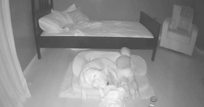 Cámara capta niño pequeño durmiendo con su perro