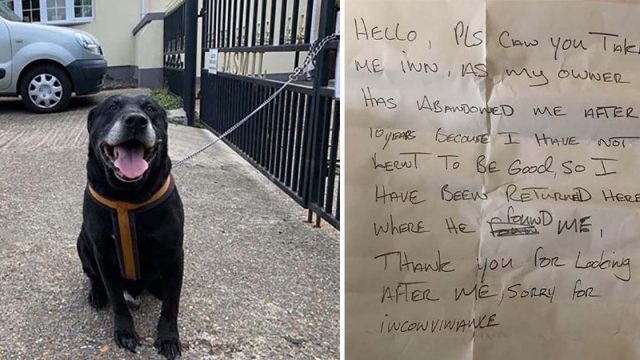 Perro es abandonado en la calle con nota desgarradora