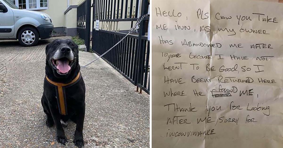Perro es abandonado en la calle con nota desgarradora