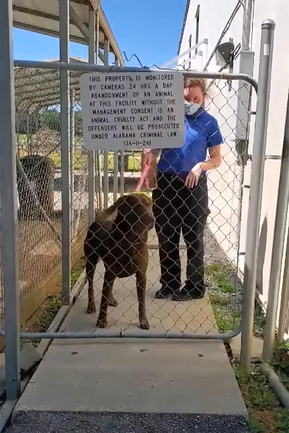 Perro esta feliz de ver a mamá