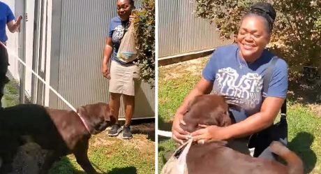 Este perro está tan feliz de reunirse con su madre después de 2 años