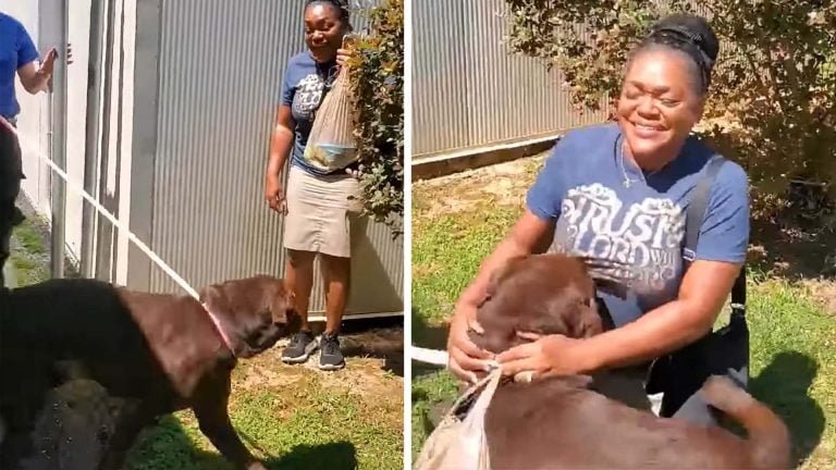 Perro feliz de reunirse con su madre