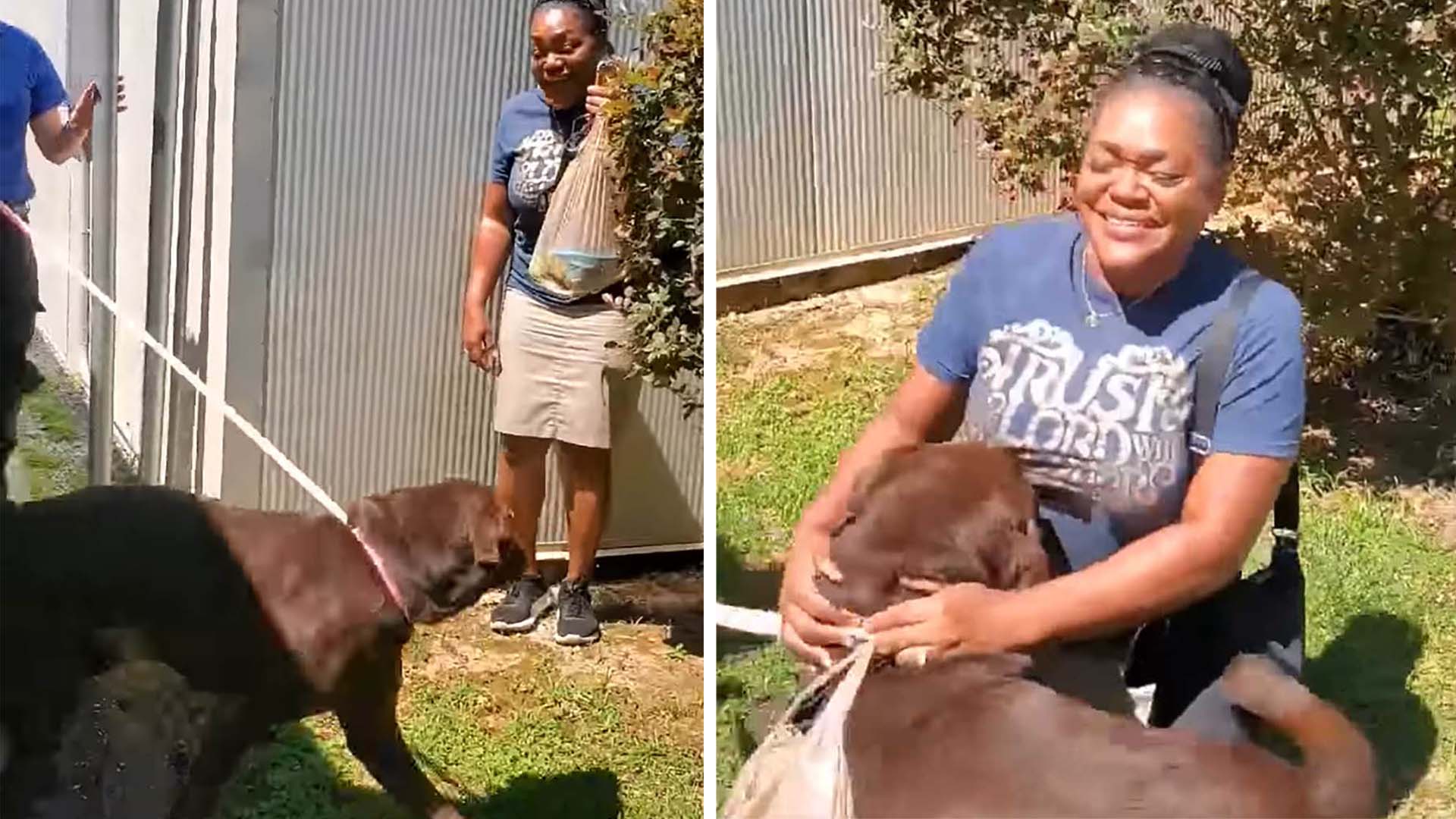 Perro feliz de reunirse con su madre