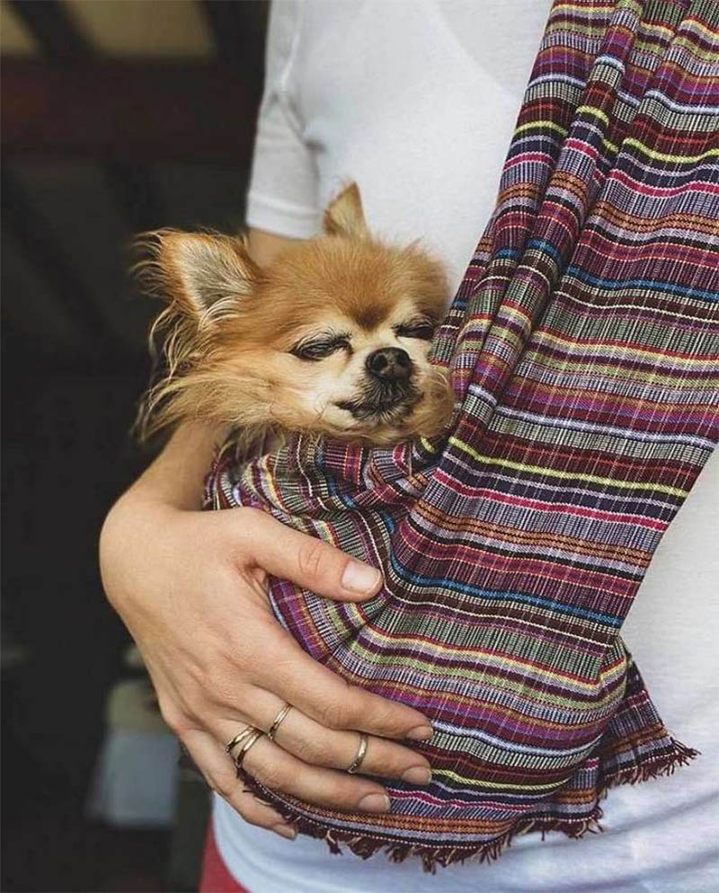 Pip y mamá