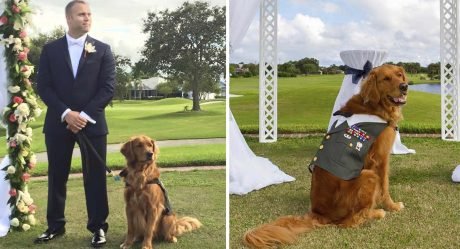 Veterano elige a su perro de servicio para que sea su padrino en la boda