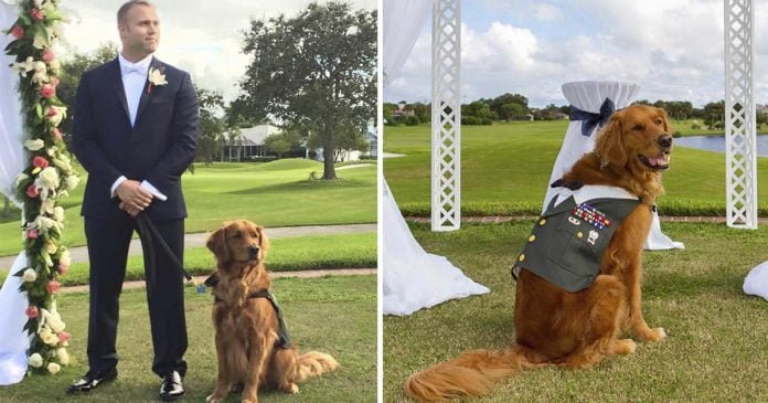 Veterano elige perro de servicio padrino de boda