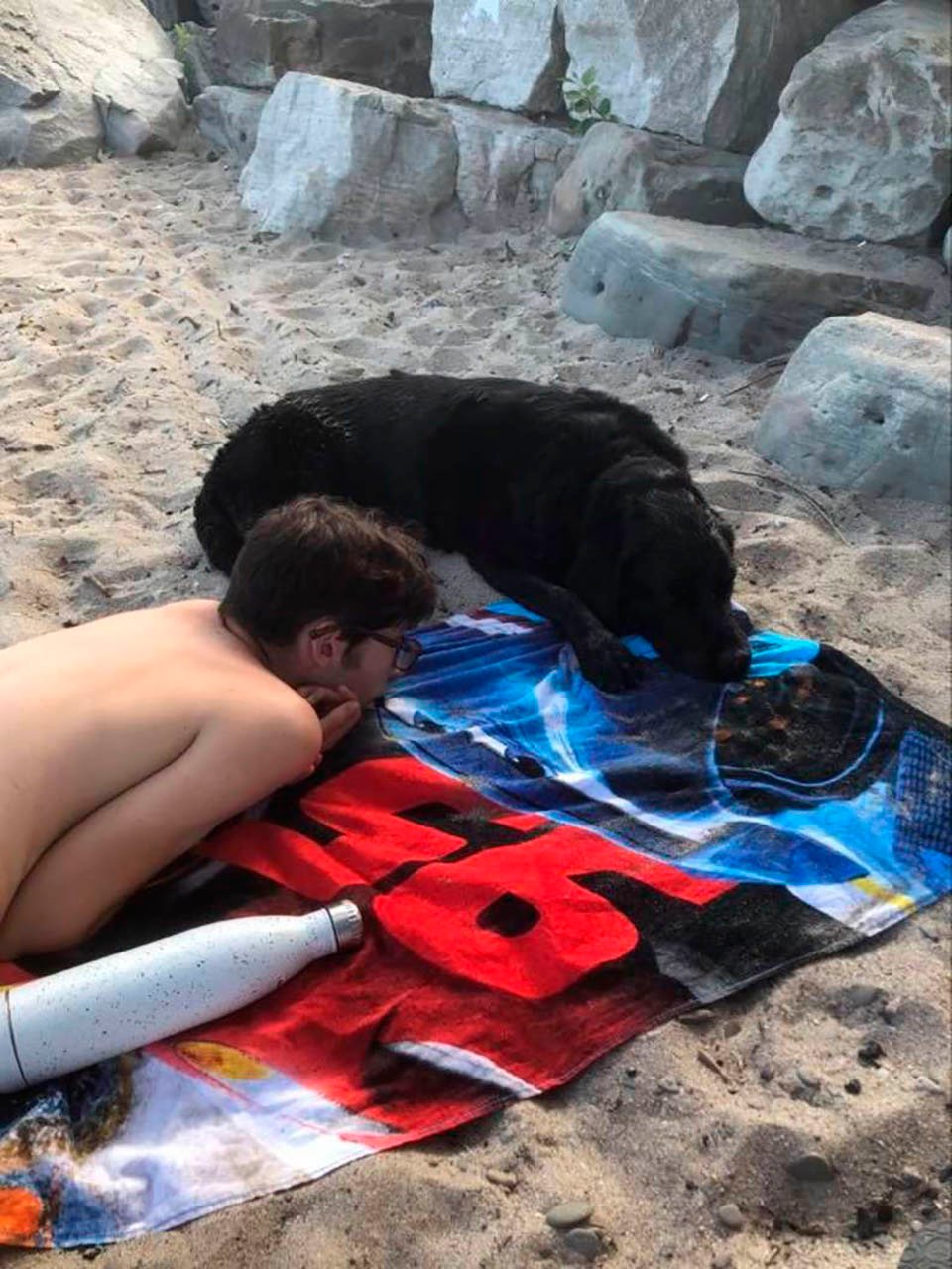 Chico y perro en la playa