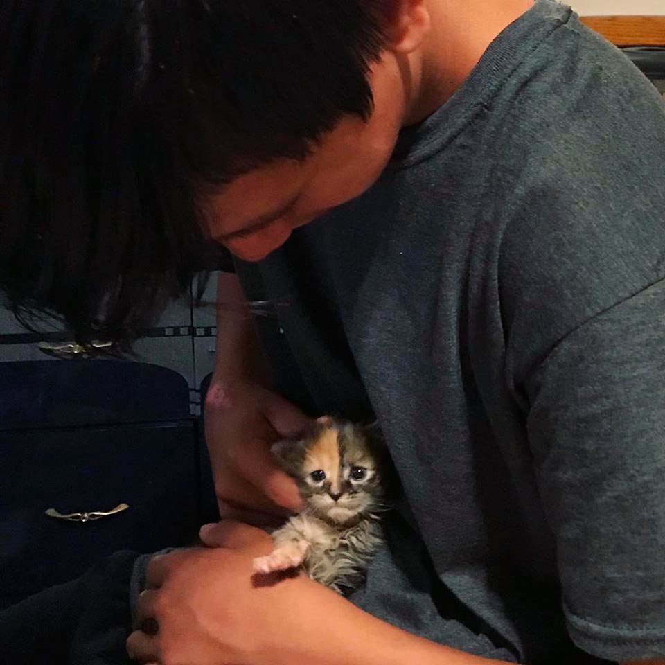 Gatito pequeño abraza a un joven