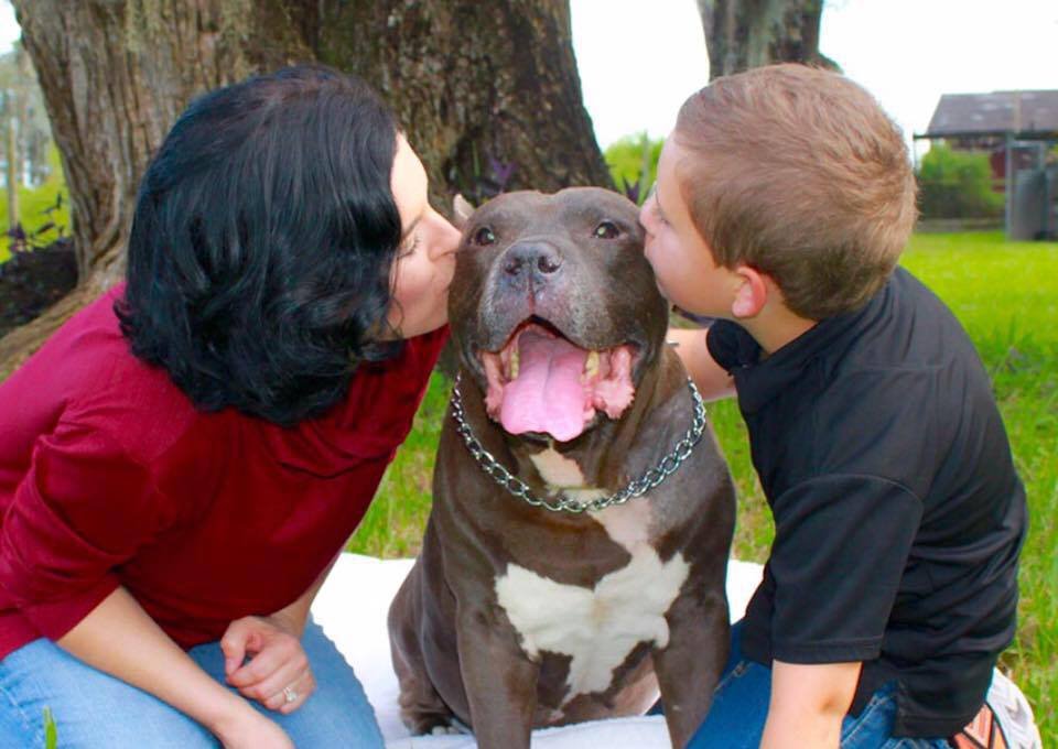 Mujer y niño brindan cariño a perro