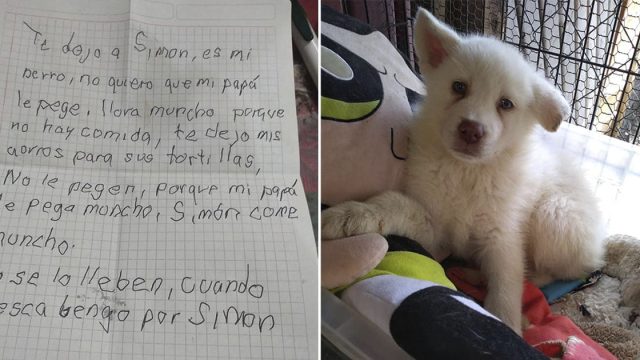 Niño escribe emotivas cartas a su perro