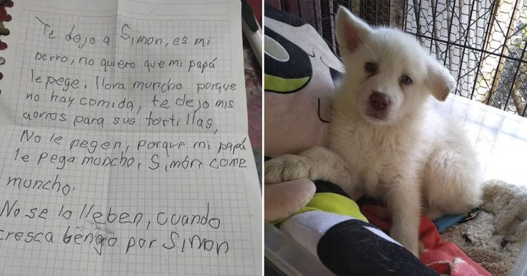 Niño escribe emotivas cartas a su perro