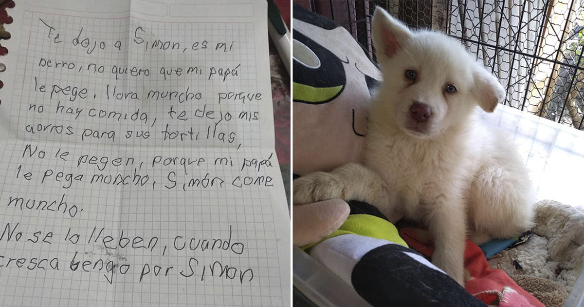 Niño escribe emotivas cartas a su perro