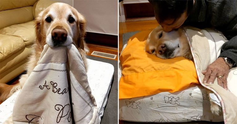 Papá no quería un perro ahora lo arropa
