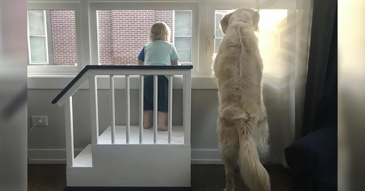 Papá construye un fuerte para que su hijo pueda mirar por la ventana