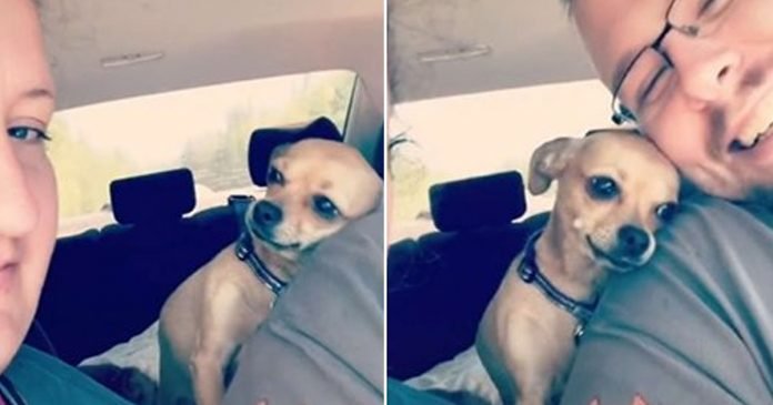 Perrita no tiene miedo de reclamar a su padre
