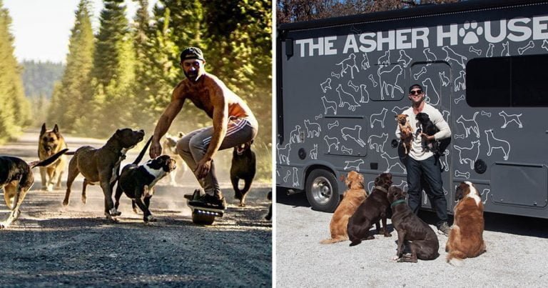 Hombre renuncia trabajo viajar rescatando animales