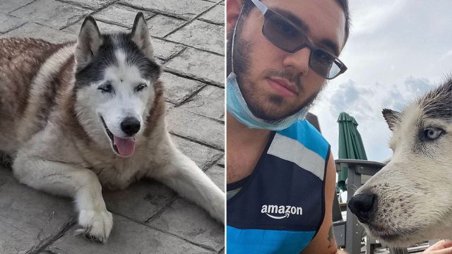 Repartidor salta a piscina para salvar un perro