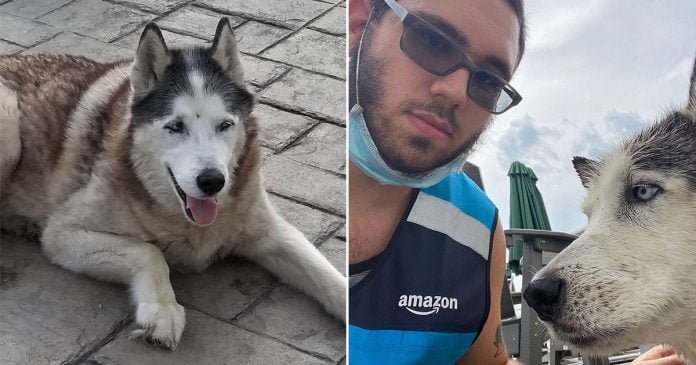 Repartidor salta a piscina para salvar un perro