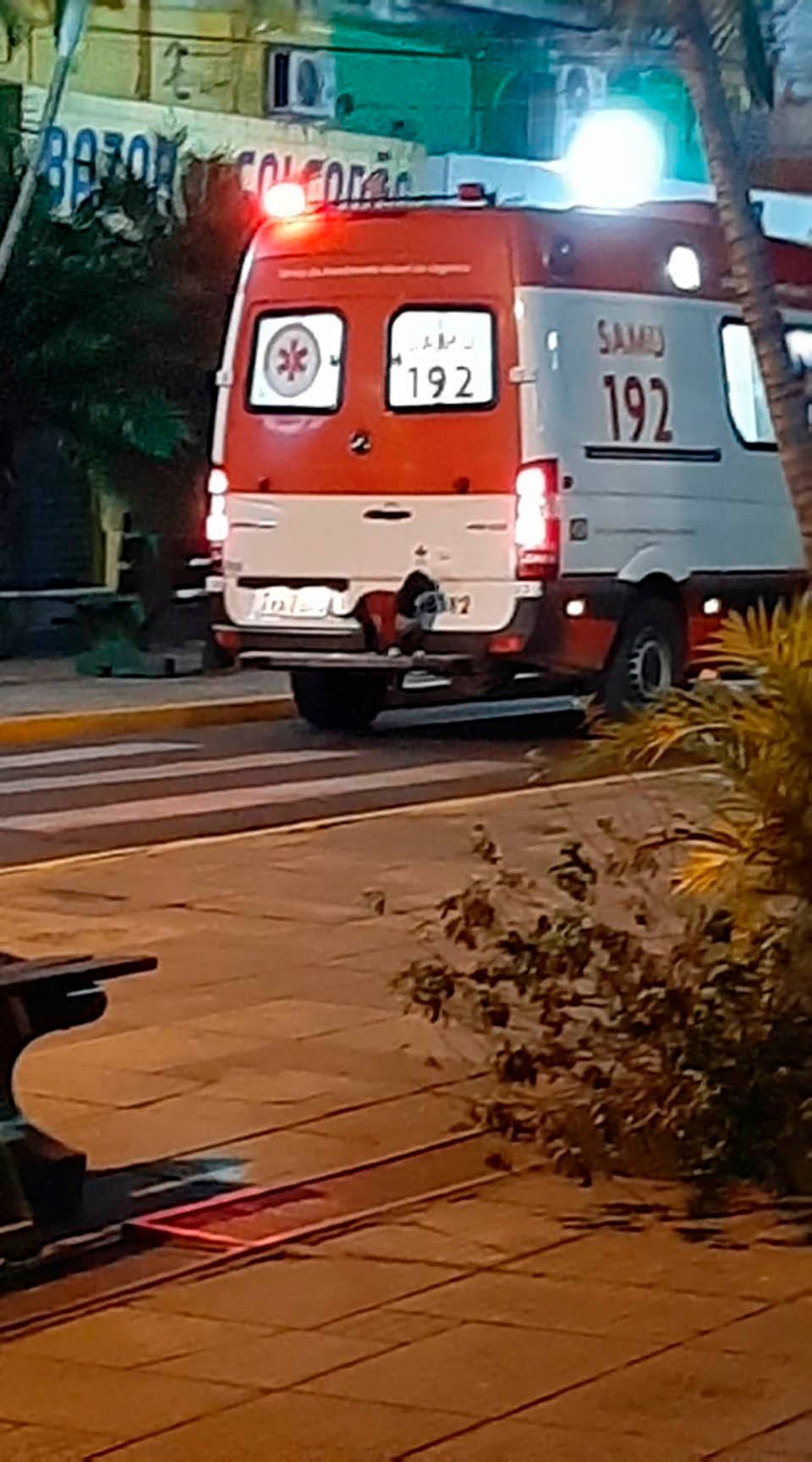 perrito fiel en ambulancia