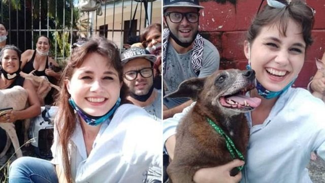 Activistas rescatan todos los perros de Zoonosis
