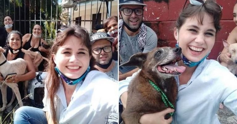 Activistas rescatan todos los perros de Zoonosis