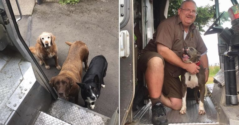 Conductor de UPS tiene la relación más dulce con los perros que encuentra en la ruta