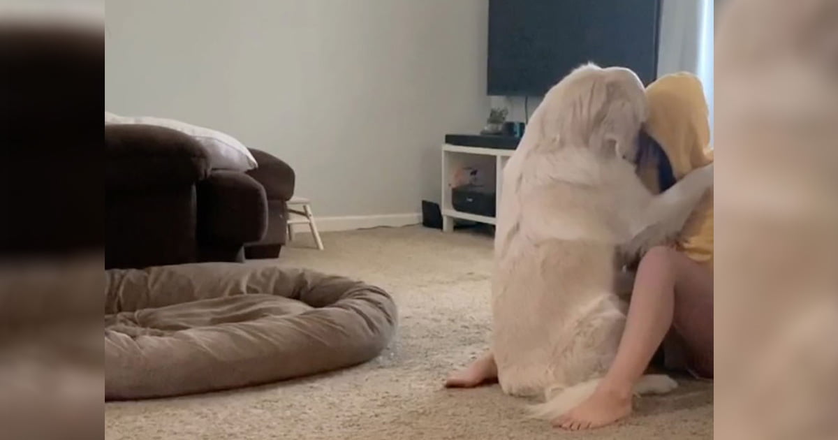 El perro de apoyo emocional de esta mujer la consuela cuando tiene un ataque de ansiedad