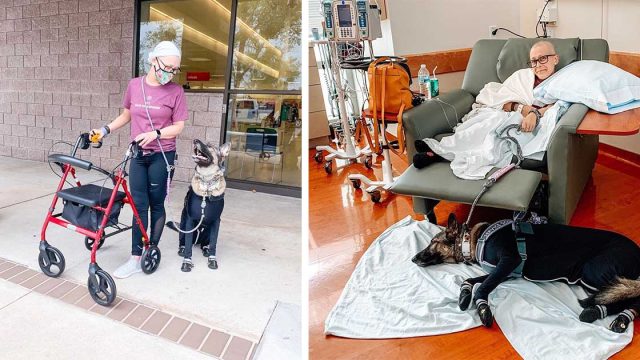 Perro usa un traje especial para poder estar junto a mamá durante la quimioterapia