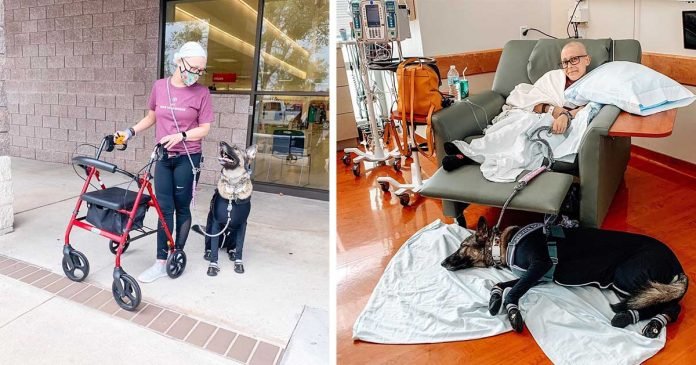 Perro usa un traje especial para poder estar junto a mamá durante la quimioterapia