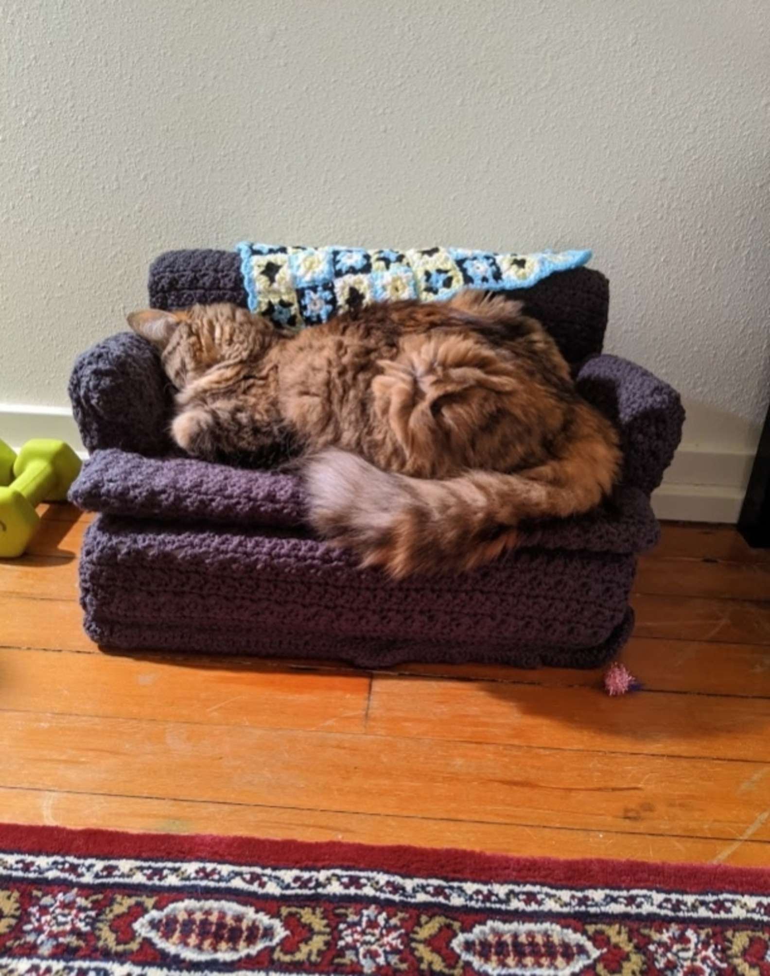 Sofá de crochet para gato