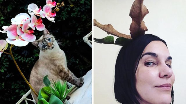 Dulce gatito le trae a mamá un nuevo 'sombrero' para usar cada mañana