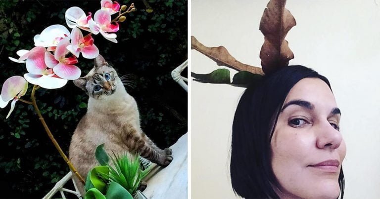 Dulce gatito le trae a mamá un nuevo 'sombrero' para usar cada mañana