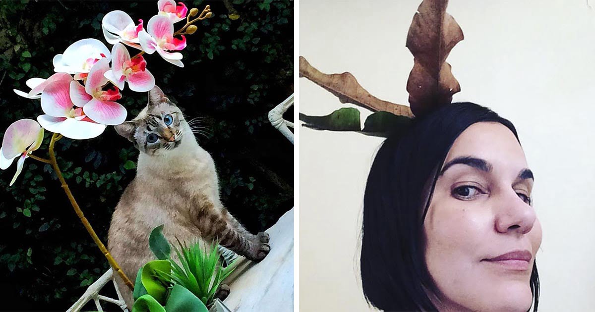 Dulce gatito le trae a mamá un nuevo 'sombrero' para usar cada mañana