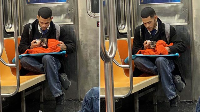 Hombre visto con un gatito en el metro