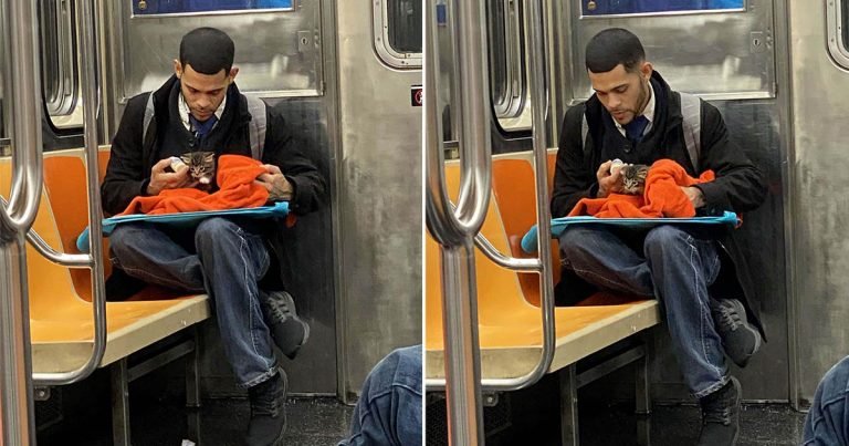 Hombre visto con un gatito en el metro