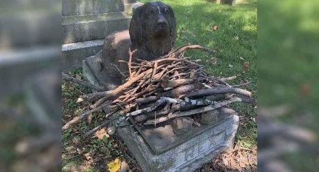 La gente está dejando palos en la tumba de este perro de hace 100 años