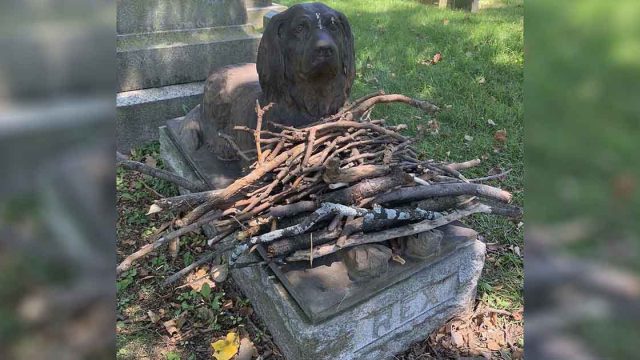 La gente está dejando palos en la tumba de este perro de hace 100 años