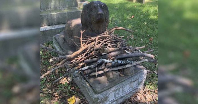 La gente está dejando palos en la tumba de este perro de hace 100 años