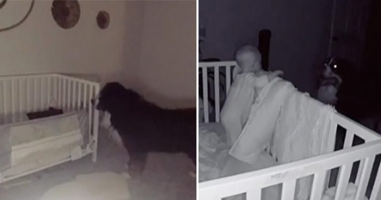Monitor del bebé detecta a un dulce perro revisando a su hermanita todas las noches