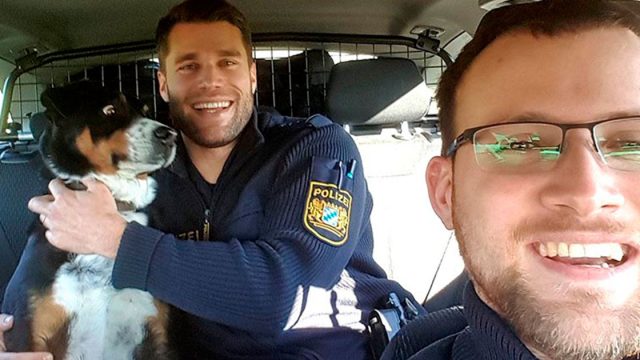 Perro asustado mientras lo abraza un policía