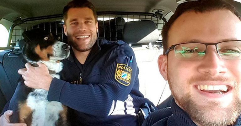 Perro asustado mientras lo abraza un policía
