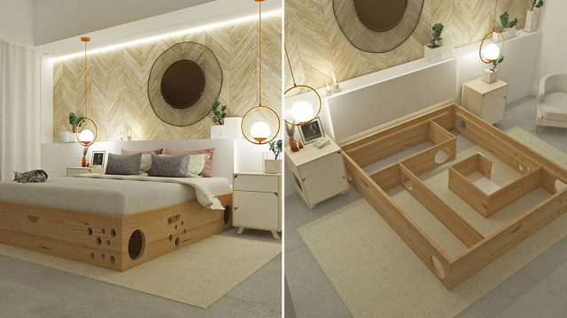 cama perfectamente diseñada para personas con gatos